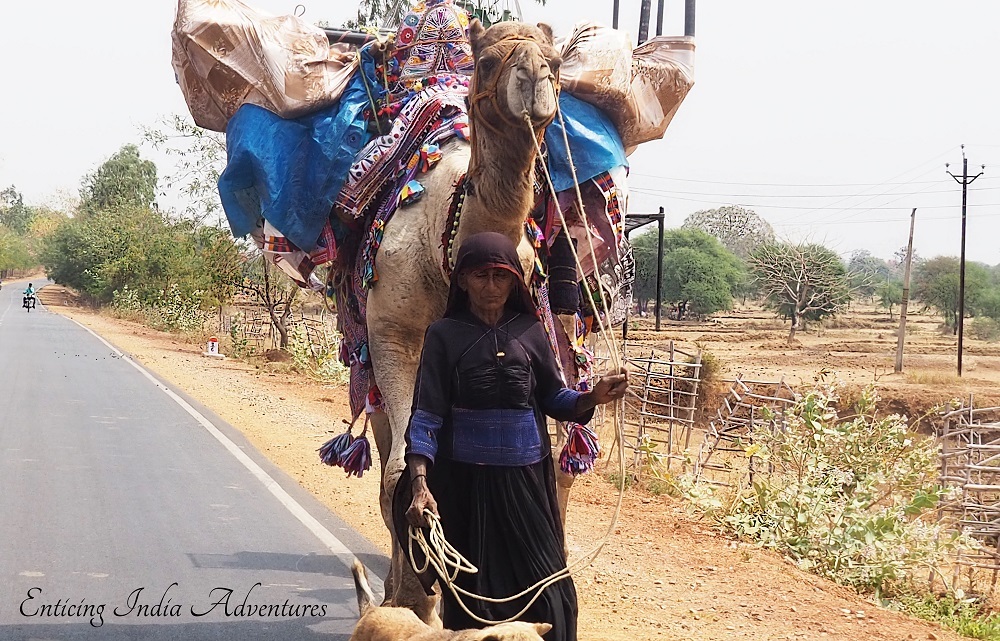 Lady travels the road to Rajasthan, Ganges River Cruise India